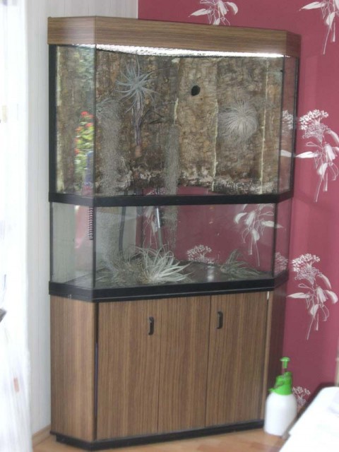 Eckterrarium / Palludarium H175xB107xT68 cm - Terrarien - Selters