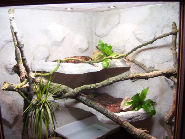 Terrarienbau mal anders - Terrarien - Erlangen