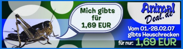 Heuschrecken nur 1,69 € pro Dose - Futtertiere - Lüchow