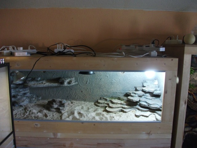 Terrarium 150x50x50 mit Felsformation - Terrarien - Groß-Gerau