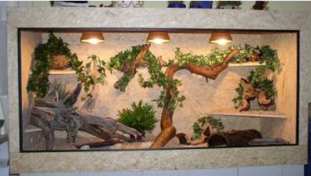 Holzterrarium verschiedene Größen - Terrarien - Hanshagen