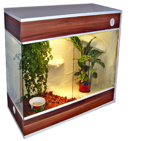 2in1 Hochterrarium Top Design perfektes Geschenk Neu!!! - Terrarien - Erlangen