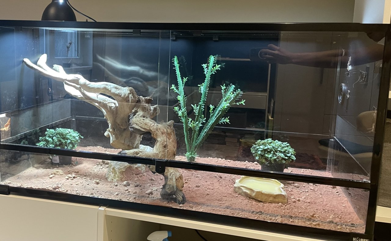 Terrarium inkl. Zubehör ideal für Reptilien, abzugeben - Terrarien - Frankfurt am Main