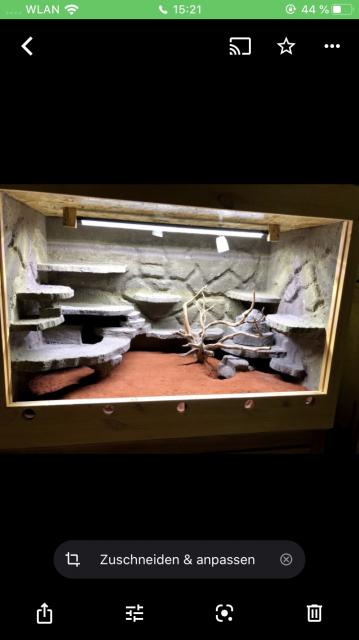 Massivholz Terrarium mit Felsrückwand  - Terrarien - Eschach