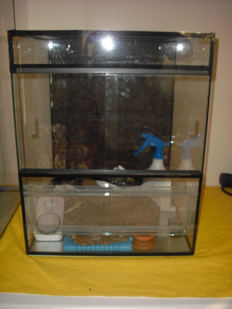 Chamäleon Terrarium Allterra mit Zubehör - Chamaeleon - Essen