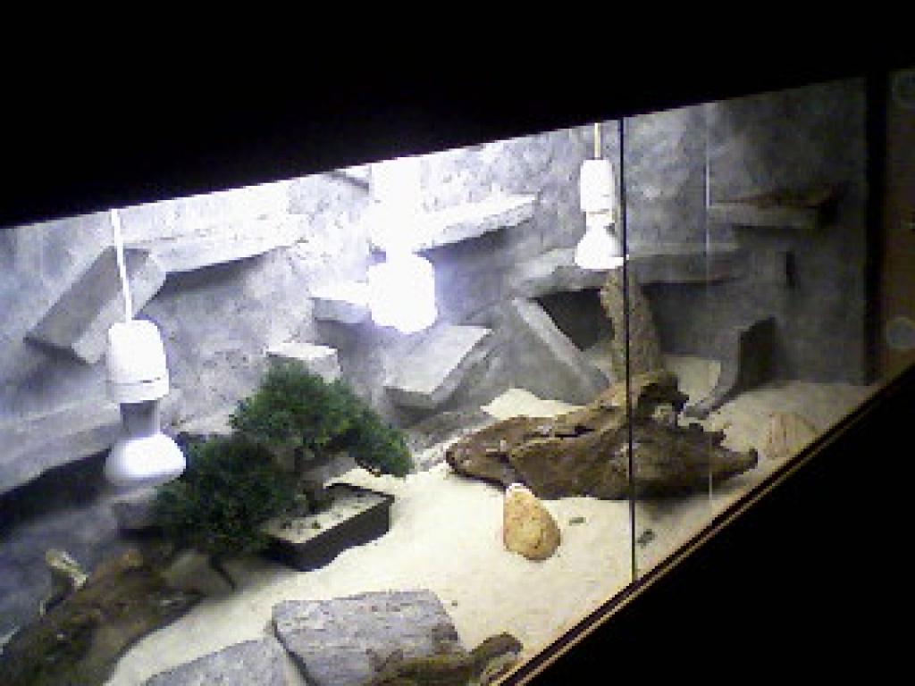 Holz- und Glasterrarien zu vergeben - Terrarien - Österreich (Niederösterreich)