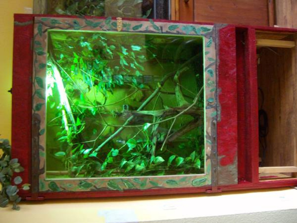 TERRARIUM mit. - Terrarien - Solingen