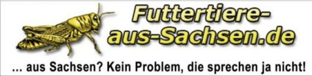 Futterinsekten ab 1,15/Dose - Frosch - Hainichen