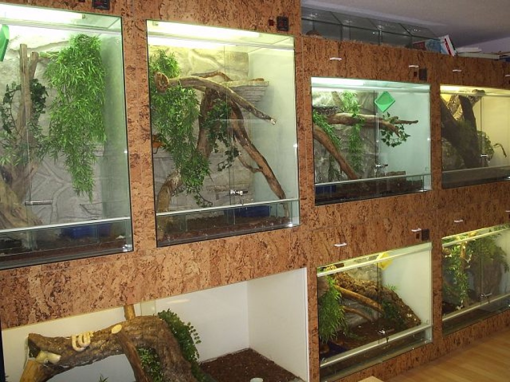 Top Terrarienanlage - Terrarien - Sonthofen