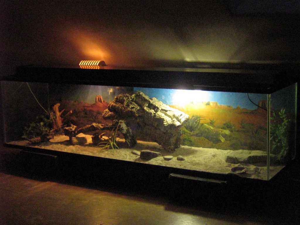 Terrarium für Reptilien - Sonstige Reptilien - Sulzheim