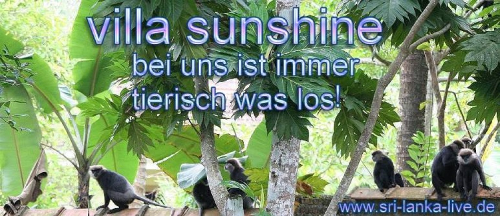 Sri Lanka Urlaub, Ceylon, traumhafter Strände, einsamer Buchten, Urlaub in Sri L - Sonstige Reptilien - Lüneburg