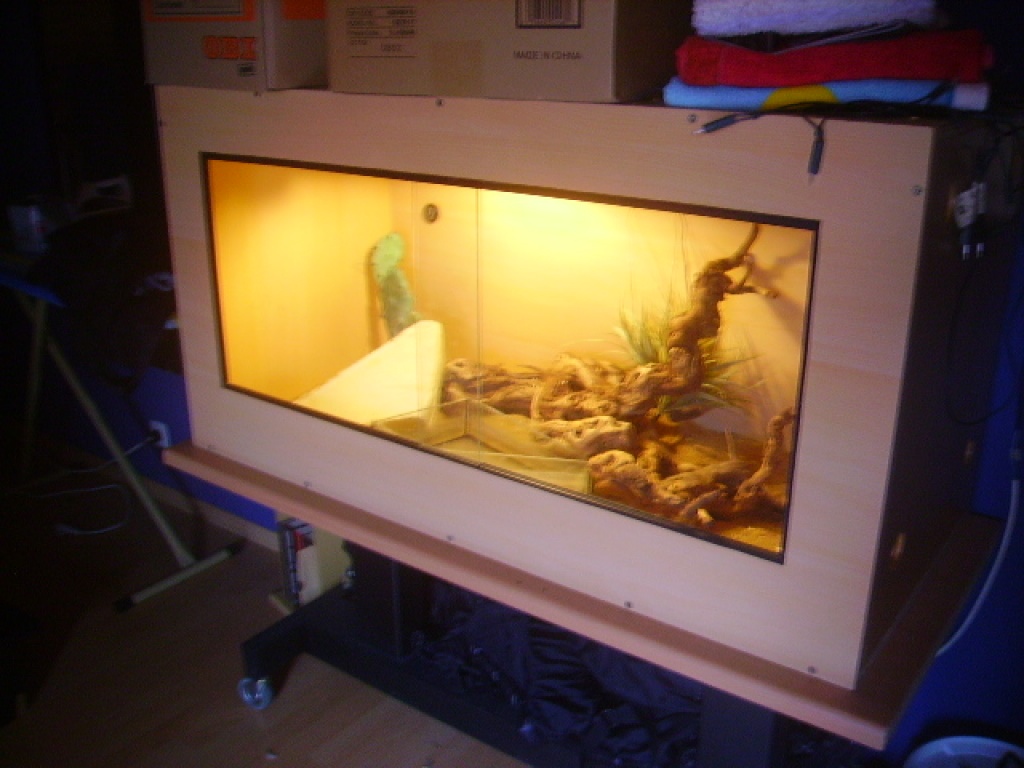 Dreiecksnatter und Terrarium mit Inhalt zu verkaufen - Schlangen - Obermeitingen