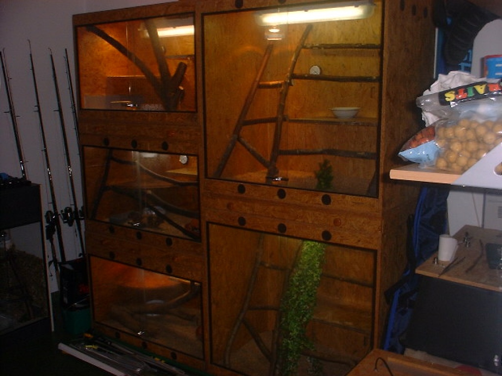 Terrarienanlage komplett incl. 6 Königspython - Terrarien - Eschweiler