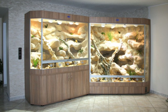 Exclusive Terrarien für das anspruchsvolle Ambiente, Bp: Terrarium kombiniert - Terrarien - Neuss