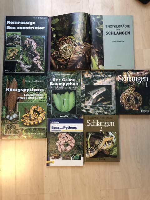 Bücher über Schlangen - Schlangen Schlangen Sonstige - Frankfurt