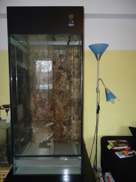 Großes Terrarium mit Zubehör 300€ - Terrarien - Recklinghausen