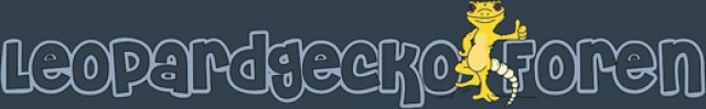 WWW.LEOPARDGECKO-FOREN.DE - wir sind wieder da :-) - Gecko - Neumarkt