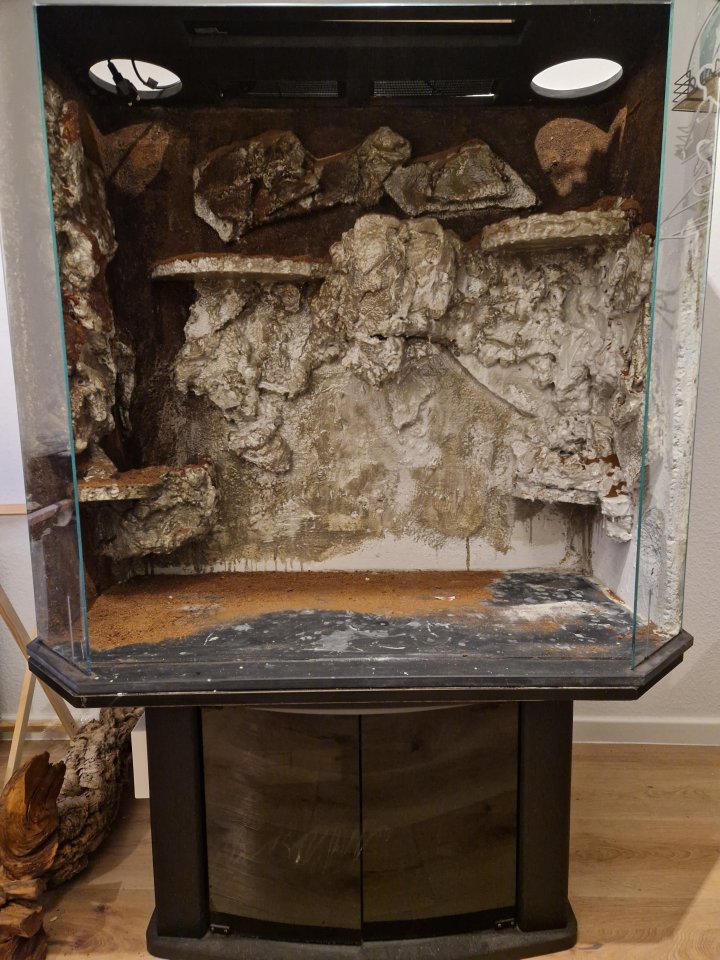 Amurnatter inklusive Terrarium - Schlangen - Haan