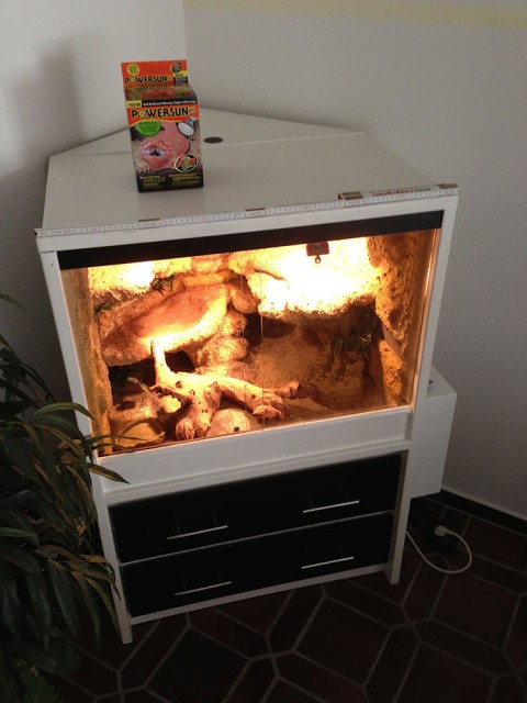 Wunderschönes Eck-Terrarium komplett eingerichtet Einzelstück - Terrarien - Osnabrück