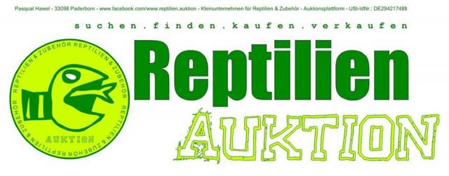 Kostenlos verkaufen für Großhändler bis Hobbyhalter!! Reptilien-Auktion - Schlangen Sonstige - Paderborn