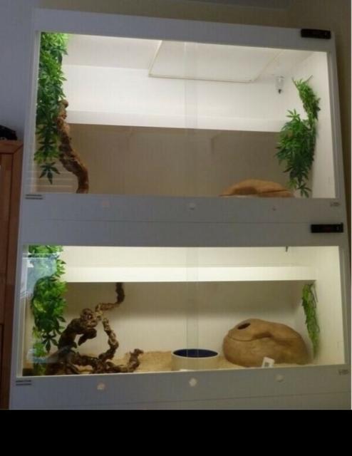 Hochwertige Kunststoffterrarien einzeln oder komplett anzugeben - Terrarien - Ingolstadt