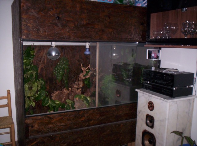 Terrarium 150x150x50  - Schlangen Python - Osterholz-Scharmbeck