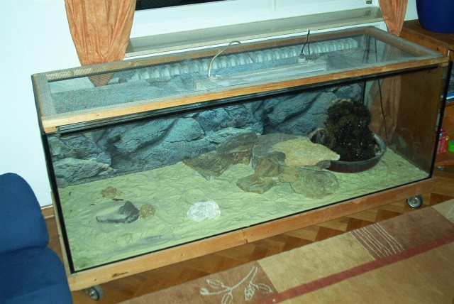 Terrarium inkl. Zubehör zu verkaufen 1,70x0,60x0,60m - Terrarien - Wettenberg