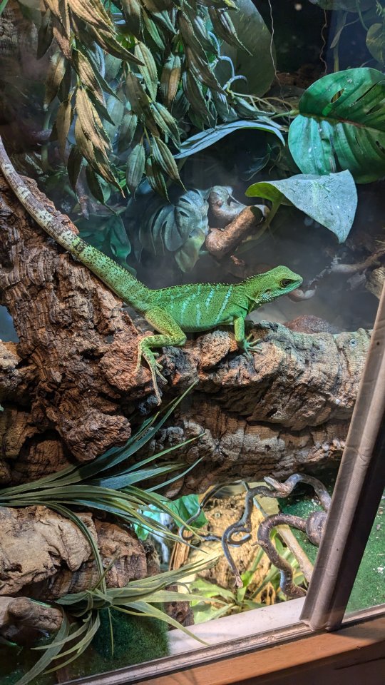 Wasseragame zu verkaufen. 50 € - Echsen - Hamburg