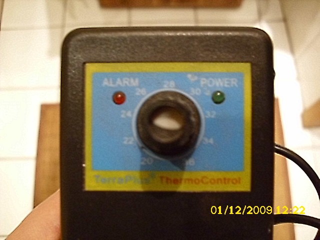 Temperaturfühler - Terrarien - Essen