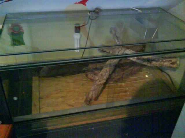 Terrarium(120x60x60) - Terrarien - Gemeinde Wiefelstede