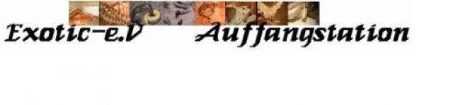 Auffangstation Exotic e.V (Mitgliderschaft,Patenschaft und co. - Sonstige Reptilien - Gütersloh