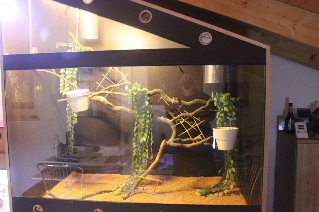 Hoch/Schrägterrarium für Chamäleons oder Schlangen - Terrarien - Ottenhofen