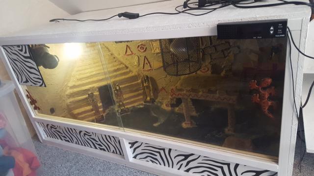 Terrarium für Reptilien in Ägypten Style - Bartagame - Bremen