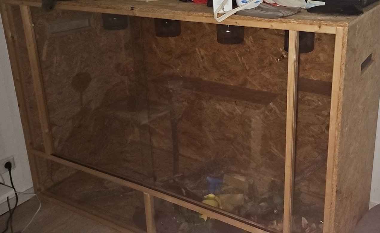 Terrarium Riesengroß - Schlangen - Oberhausen